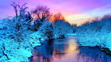 Winter Wonderland Wallpaper Image