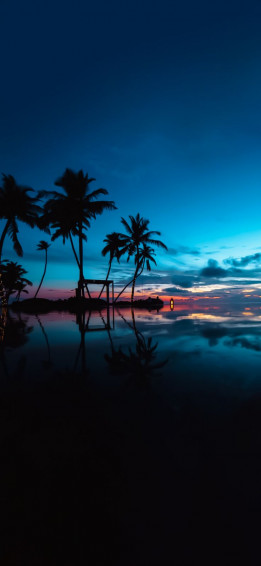 Beautiful Tropical Sunset Wallpaper Wallpaperize High Quality