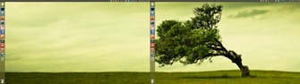 Extend Wallpaper Across Monitors Or Use A Different For Each