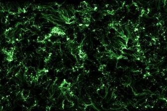 Green Abstract Dark Wallpaper
