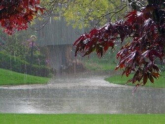 Rain Falling Wallpaper