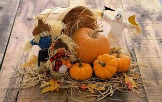 Pumkin Wallpaper Image