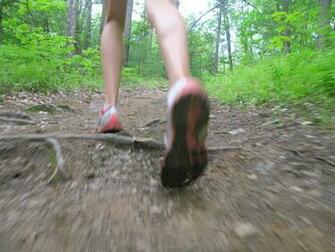 Ultra Running Wallpaper Trail At Bear Brook