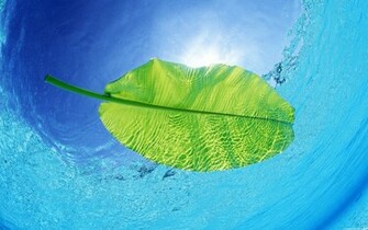 Awesome Desktop Wallpaper