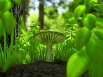 Wnp Wallpaper Pictures Green Mushroom