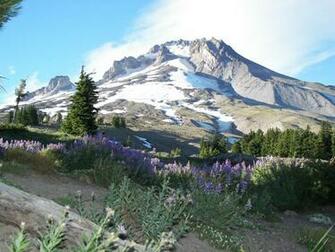 Mount Hood Wallpaper