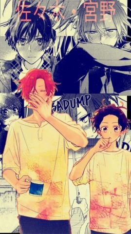 Wallpaper Sasaki To Miyano Anime Shows