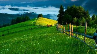 HD Image Pictures Background Desktop Wallpaper