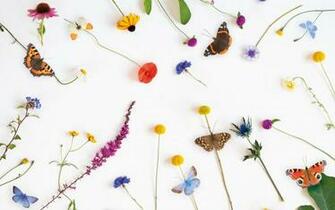 Wallpaper Of The Month March Ohh Deer