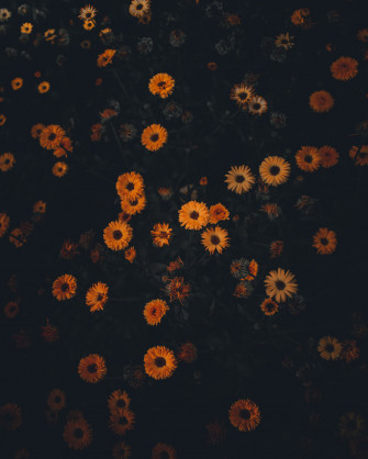 Moody On Wallpaper