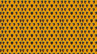 Tyler The Creator Head Monogram Background For Your Phone
