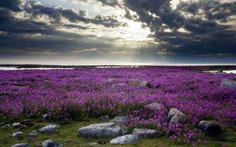 Travel Europe And America The Beautiful Scenery Fascinating