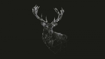 Lines Minimalism Wireframe Wallpaper No Wallhaven Cc