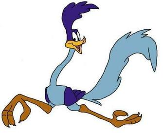 Road Runner HD Cartoon Wallpaper Desktop