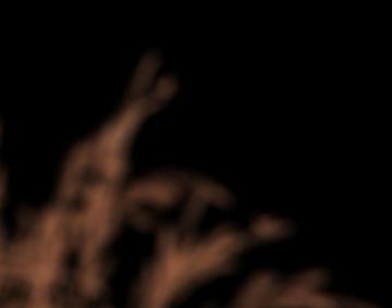 Blurre Grass Png Light Background Image Live Wallpaper