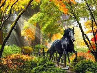 Fall Horse Wallpaper 52dazhew Gallery