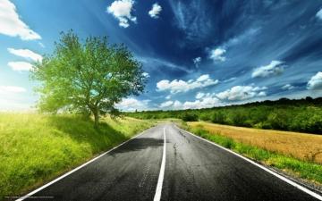 Wallpaper Road Asphalt Field Trees Desktop