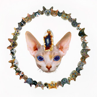 Catatonic On Wallpaper