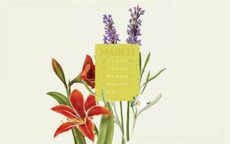 So You Can The March Desktop Calendar Wallpaper