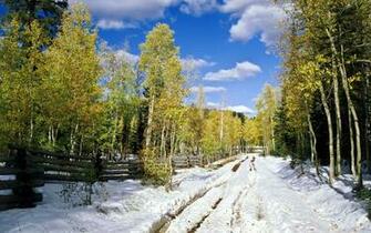 Early Winter Wallpaper