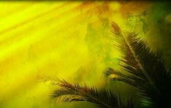 Palm Sunday Branch Motion Background Videos2worship