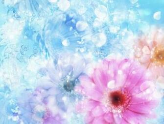 Pink Daisy Flower Screensavers