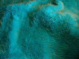 Texture Fur Background