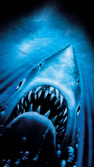 Get The Perfect Combination Of Style And Power With Shark Wallpaper
