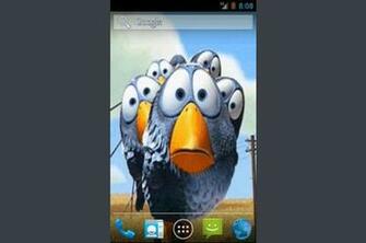 Descarga El Programa Funny Birds Live Wallpaper Papel Pintado Para