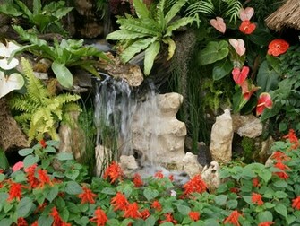 Flower Garden Wallpaper
