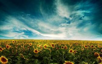 Wallpaper Definition Widescreen Lcd Desktop