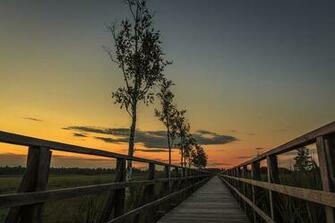 Sunset Spring Lake Bad Buchau Idyllic Beautiful Mood Scenic