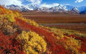 Wallpaper Alaska Fall HD Background Desktop