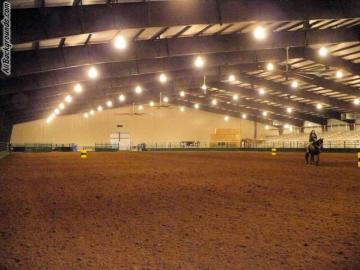 Rodeo Background Myspace