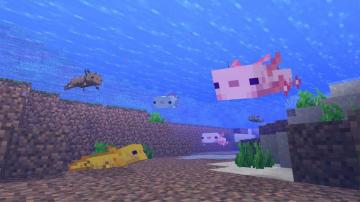 Minecraft Axolotl Find Tame Or Breed The New Mob