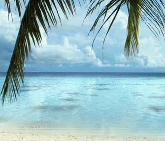 Beach Screensavers Image Search Results