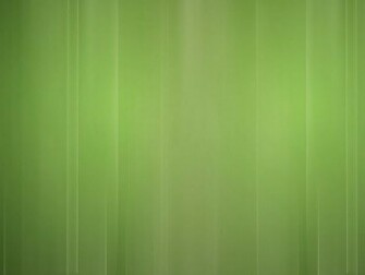 Plain Wallpaper Grasscloth