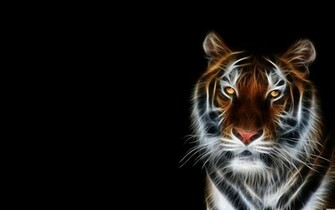 Neon Animal Background Desktop Image