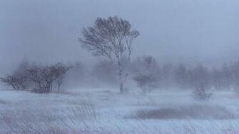 Snowstorm Wallpaper