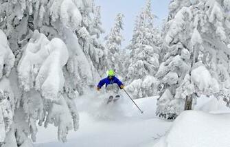 Powder Skiing Ing Gallery