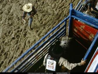 Rodeo Desktop Wallpaper