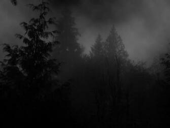 Black Forest Wallpaper Wallpapercharlie