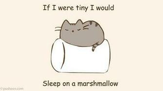 Home Animals Cats If I Were Tiny