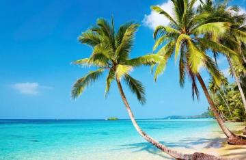 Tropical Beach 4k Ultra HD Wallpaper Net