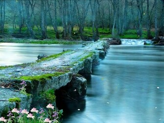 Morning In The Forest Animated Wallpaper H33t Screensavers