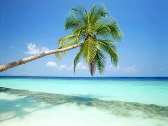 Tag Beach Wallpaper Background Photos Pictures And Image For