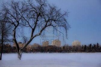 Cold Winter Day Wallpaper HD
