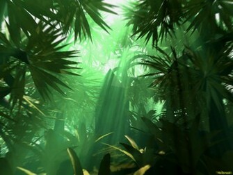 Background Jungle Kindle Pics