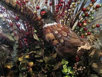 Pheasant Wallpaper Kent Named The Phil