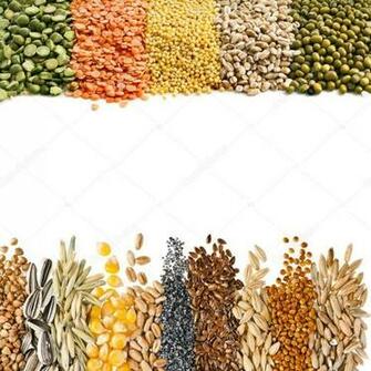 Cereal Grains Seeds Beans Border On White Background Stock